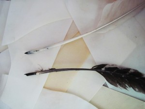 Cut quills showing left and right handed nibs cut from feathers that curve comfortably over the hand